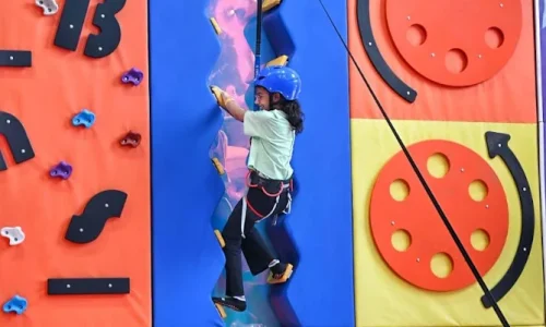 Modern Climbing Walls Designed for Adventure